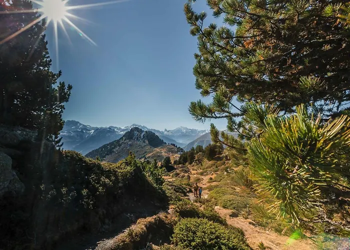 Rupicapra Casa de Férias