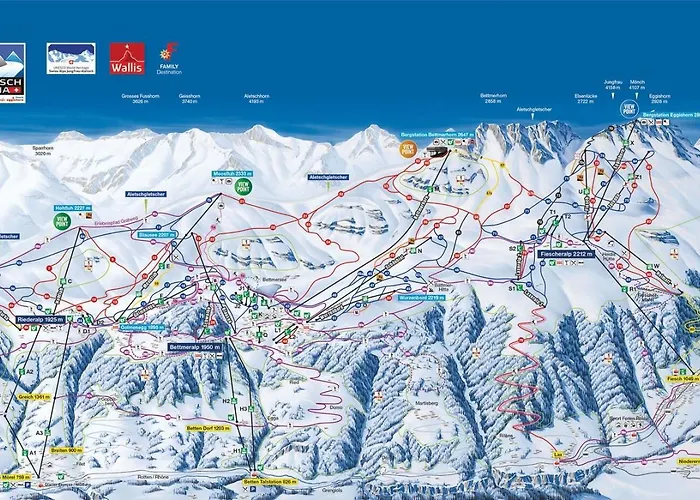 Rupicapra * Bettmeralp