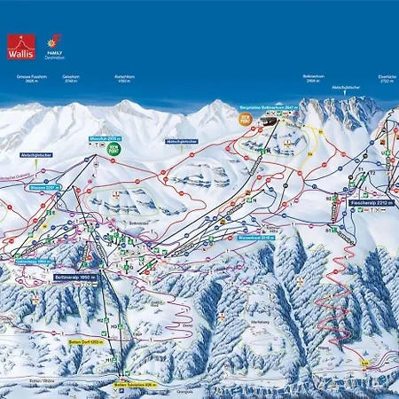 Rupicapra * Bettmeralp